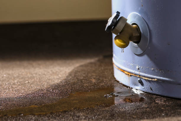 Best Water damage restoration near me  in Ladson, SC