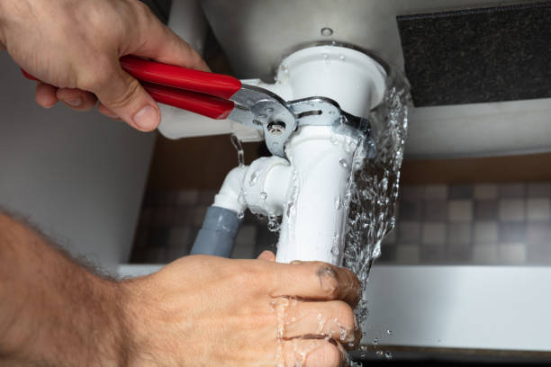 Best Basement water damage restoration  in Ladson, SC