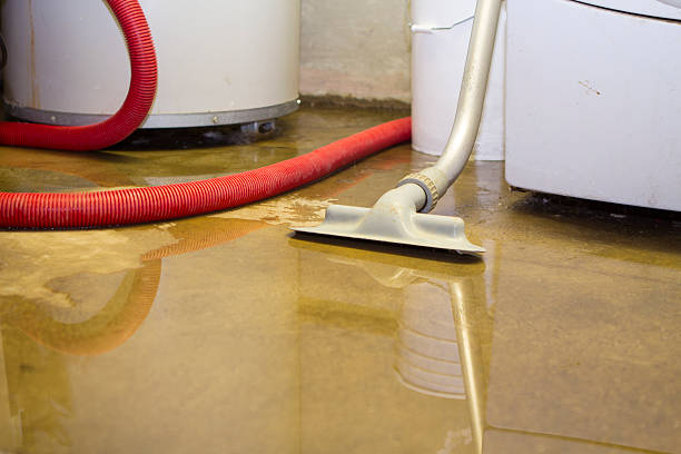 Best Ceiling water damage repair  in Ladson, SC