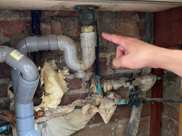 Best Water damage cleanup near me  in Ladson, SC